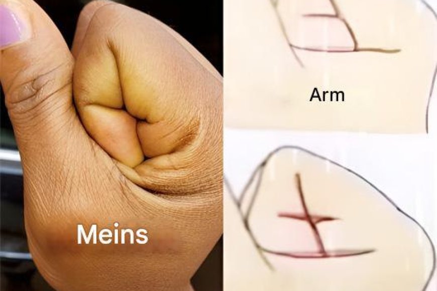 Ihre Hand kann anzeigen, ob Sie reich oder arm sein werden. - Deutschideen